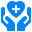Healthcare Icon